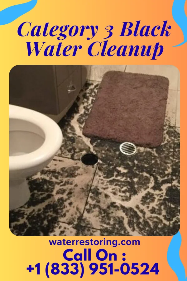 Category 3 Black Water Cleanup in Jefferson, OH