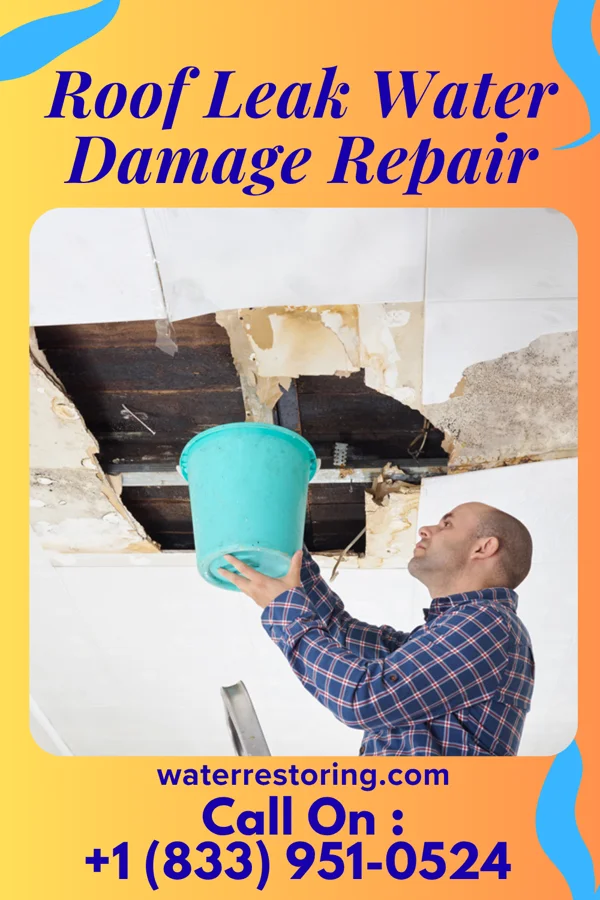 Roof Leak Water Damage Repair in Jefferson, OH